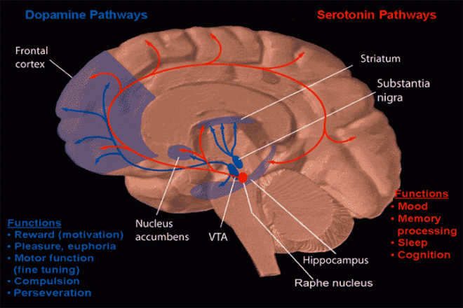Source: http://www.glaucoma.org/uploads/eye-anatomy-2012_650.gif